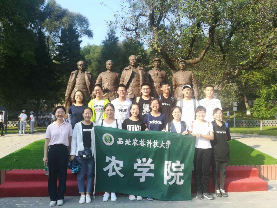 拯救胖男孩